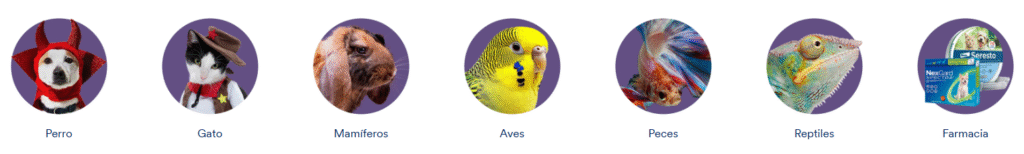 ¿Qué productos puedo comprar en Petco México?