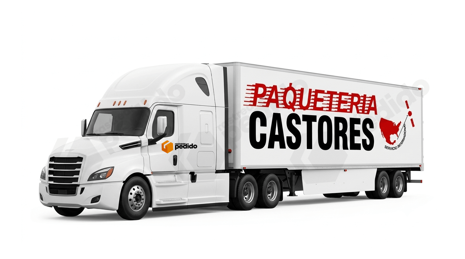 Servicios de la paquetería Castores